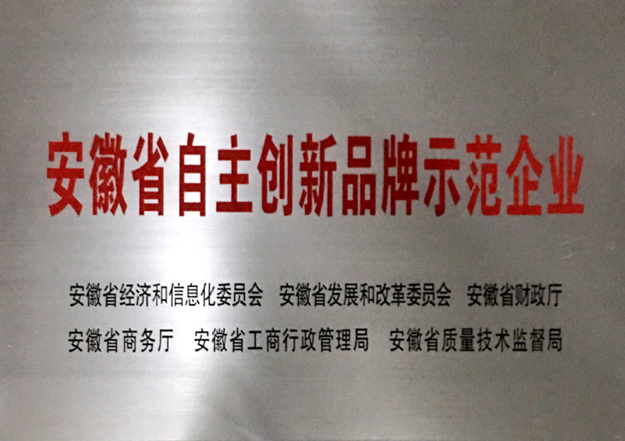 12--安徽省自主创新品牌示范企业.jpg