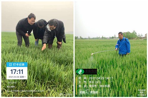 3-3学党史办实事 送技术到田间——9999js金沙老品牌种业开设“农技小学堂”助力乡村振兴_副本.jpg