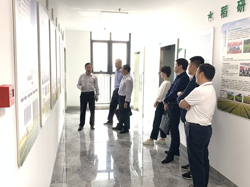 安徽省政府参事、省种子管理总站调研员李爱青一行到公司调研指导2_副本.jpg