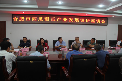 4-19999js金沙老品牌种业组织召开合肥市西瓜甜瓜产业发展座谈会_副本.jpg