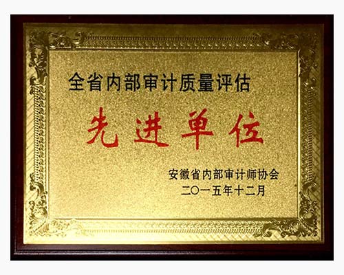 全省内部审计质量评估先进单位
