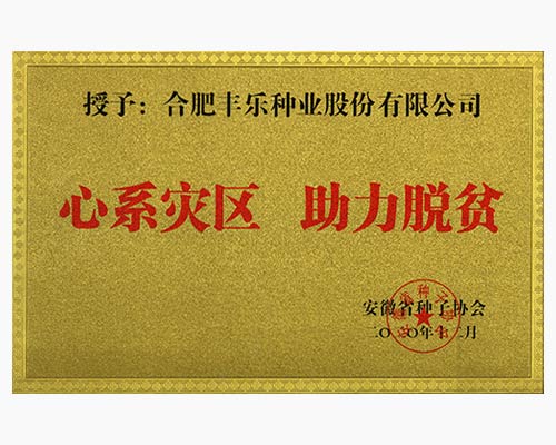 心系灾区、助力脱贫（奖牌）