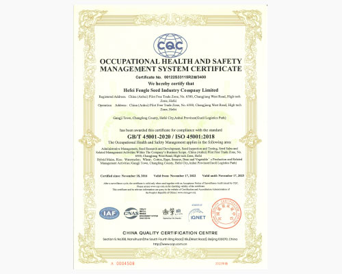 职业健康安全管理体系认证证书（英文版）